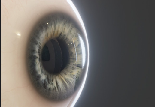 FlippedNormal Game Ready Realistic Eye Pack Crack Download