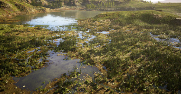 UE 4.26 MW Meadow Wetlands Landscape