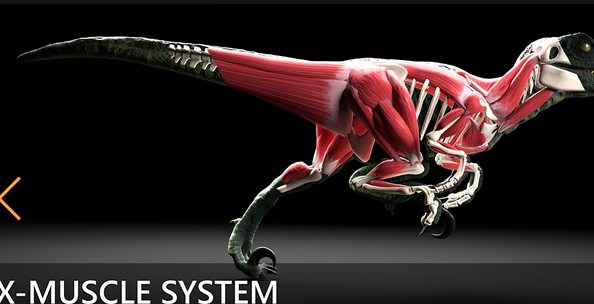 Blender 3.1 X-Muscle System v3.0 + Full Documentation Download