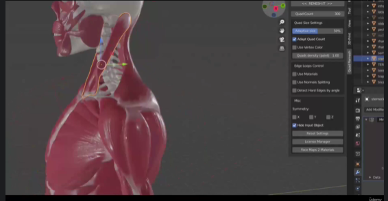 3D Anatomy Sculpting in Blender human figure Course Download