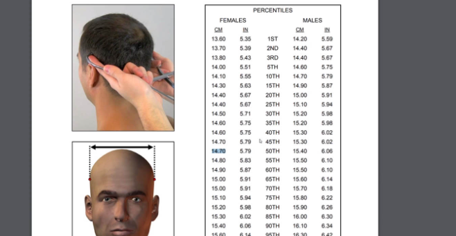 Outgang | Anthropometry and Observation Course Download