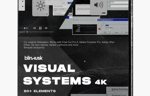 blindusk VISUAL SYSTEMS Crack Complete Download