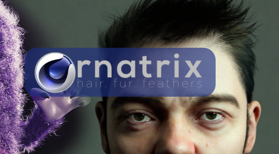 Updated Ornatrix v2.3.0.29616 for Cinema 4D Crack Download