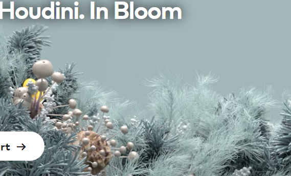 helloluxx Houdini In Bloom Complete Course FREE Download