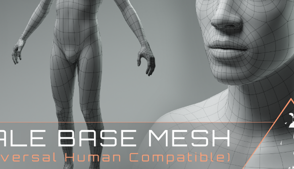 Gumroad Universal Human Male Base Mesh v2.1 Crack Download