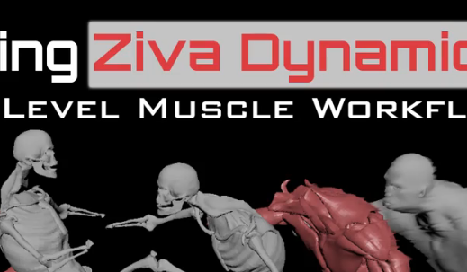 cgcircuit – Mastering Ziva Dynamics Complete Course 2023 Download