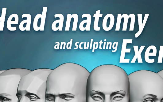 Head Anatomy & Sculpting Exercises Course Complete Download 2024