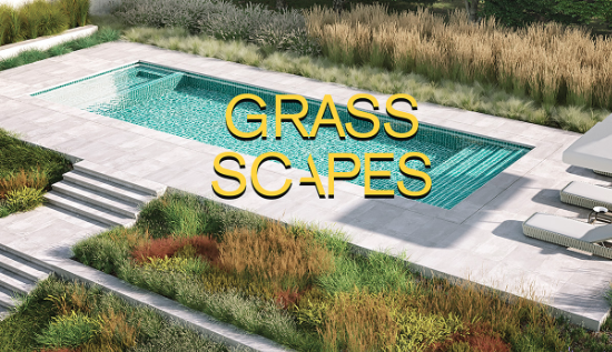 Blender 2.8+ & 4 - Grass Scapes + Scatter Addon Crack 2024 Download