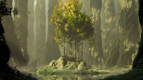 Gnomon Workshop - Creating High - Resolution custom trees using Speedtree Complete Course FREE 2024 Download