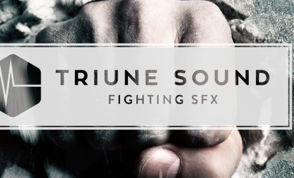 triunedigital – FIGHTING SFX Complete Crack 2024 Download