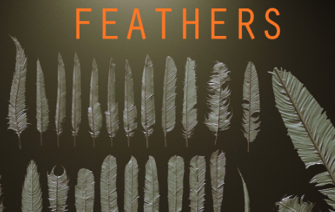 artstation - FEATHERS - 40 High poly sculpts and IMM Brush Crack 2024 Download