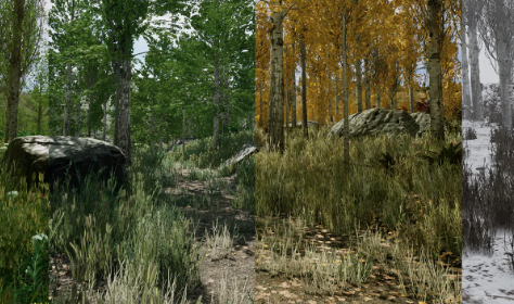 Unreal Engine 5 Scanned Poplar and Aspen Forest Seasons Download