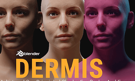 Blender 2.8+ Dermis Shader v1.1 Crack Download