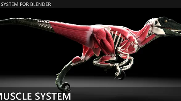 Blender 4 Update X-Muscle System v4.0.7 Crack Download