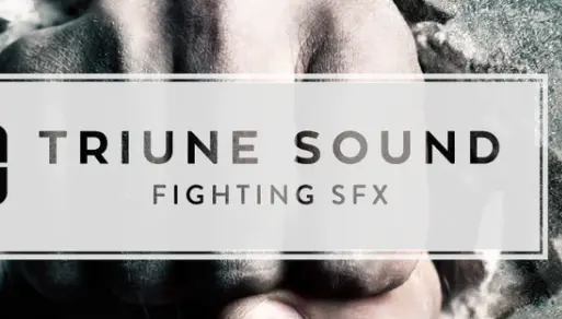 triunedigital- FIGHTING SFX Collection CRACK Easy Download