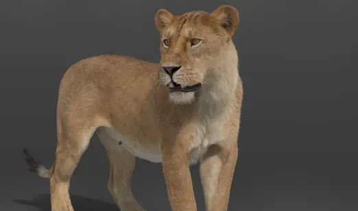 VFX Grace - Female Lion Rigged 3D Model Crack Download 2024