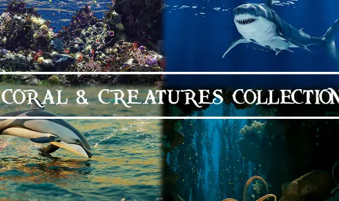 The Coral & Creatures Collection (Blender 4) Crack Update Download