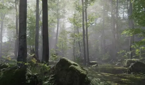 Unity 3D Forest Environment - Dynamic Nature 1.8.6 Cracked Fast Download