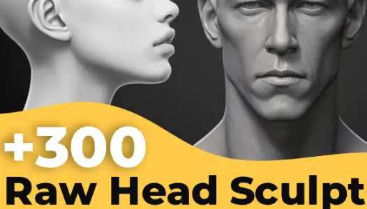 300 Raw Head Sculpt Reference (ArtStation) Free Download